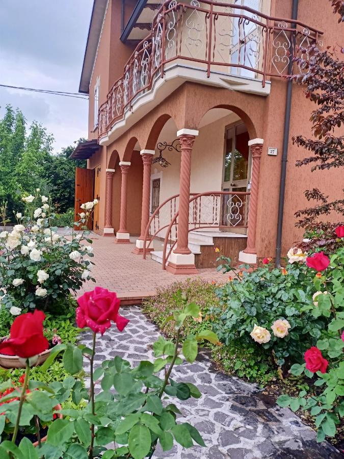 Lily - Storie Del Bosco - Acomodação com café da manhã San Felice sul Panaro Exterior foto